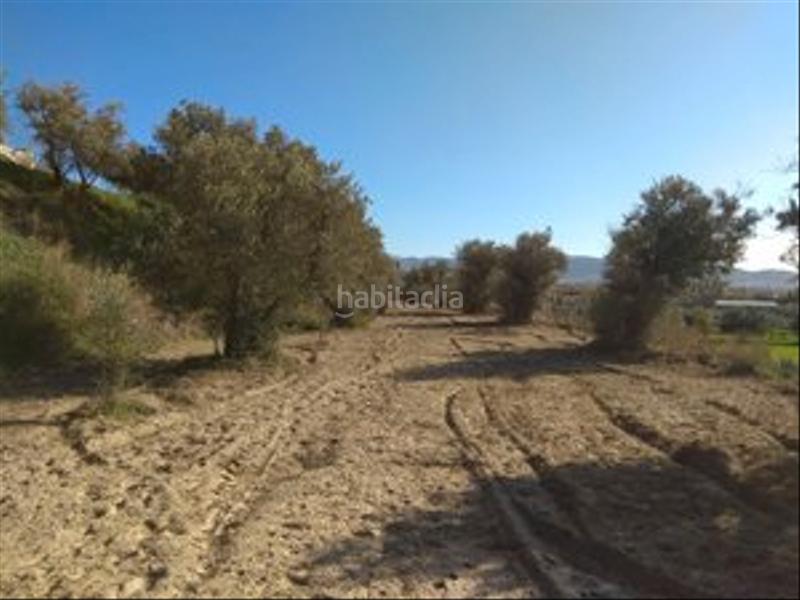 Foto 5624b384-c43f-4813-9b29-09b62a602b26. Finca rústica en camino cerrillos 3 terreno rustico en alhendin en Alhendín