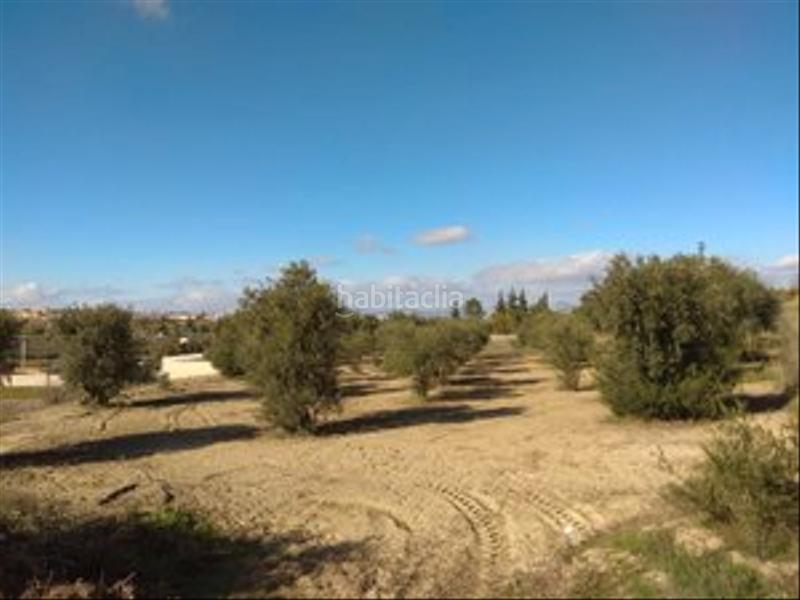 Foto 7eaf0934-daa5-4517-ba9f-bf971cfc5876. Finca rústica en camino cerrillos 3 terreno rustico en alhendin en Alhendín