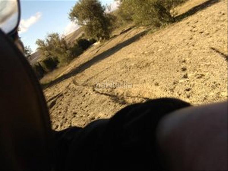 Foto 8e8ae650-bc33-4999-bea2-857d0882e203. Finca rústica en camino cerrillos 3 terreno rustico en alhendin en Alhendín