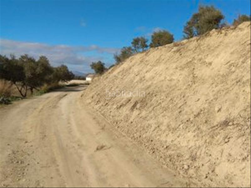 Foto a4e55760-4c6a-41d6-b002-cd8186dd784b. Finca rústica en camino cerrillos 3 terreno rustico en alhendin en Alhendín