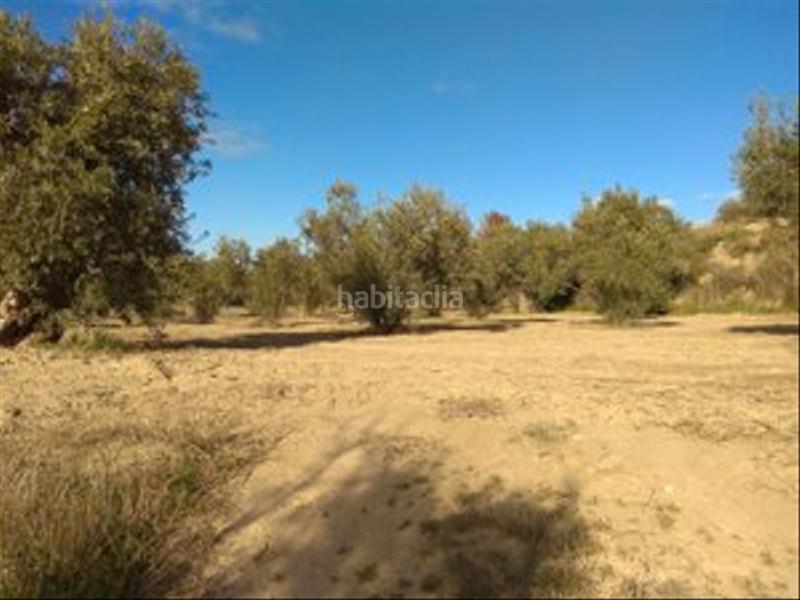 Foto e3cc78e9-44a7-4d9d-ac6c-e90a6584bcec. Finca rústica en camino cerrillos 3 terreno rustico en alhendin en Alhendín