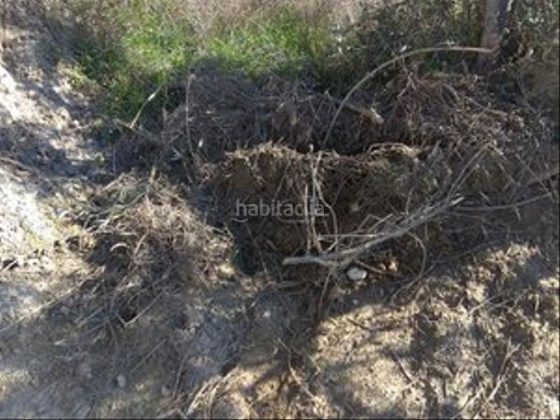 Foto eb78a9b2-52ab-411c-b317-62569f9beaf7. Finca rústica en camino cerrillos 3 terreno rustico en alhendin en Alhendín
