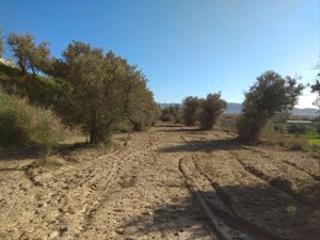 Finca rstica en Camino cerrillos 3. Terreno rustico en alhendin
