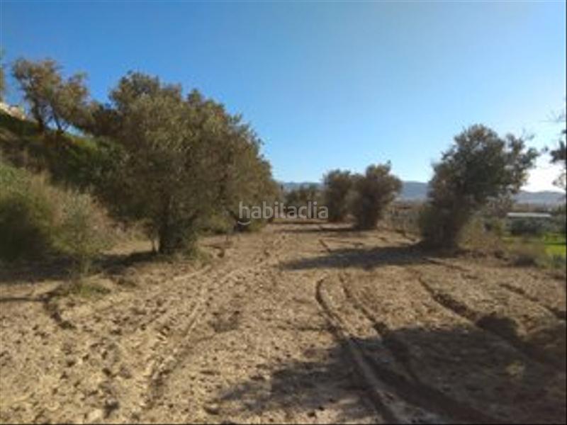 Foto f95c8f0d-676f-44b3-9c17-cdb8bf8a5c1c. Finca rústica en camino cerrillos 3 terreno rustico en alhendin en Alhendín