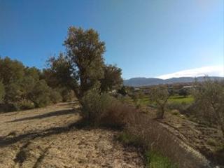 Finca rústica en Camino cerrillos 3. Terreno rustico en alhendin