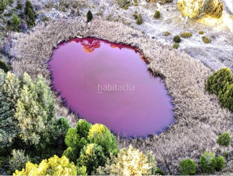 Foto e51a9f21-8dd3-432a-940c-946d30070d3a. Fabrikhalle in Cañada del Hoyo