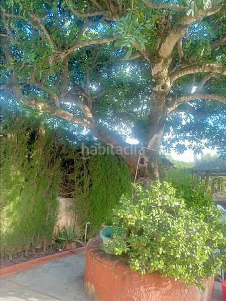 Foto cafca493-2cd5-4ceb-8c2b-0a8ed938accc. Chalet mit kamin heizung parking pool in Pueblo Eliana (l´)