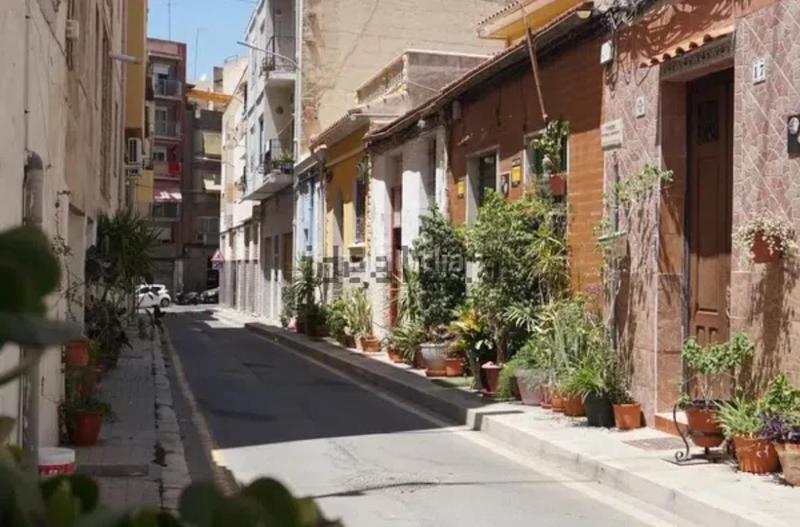 Foto 29e653a5-65e9-405a-9f39-05d3c3a461ed. Pis a Carolinas Bajas Alicante