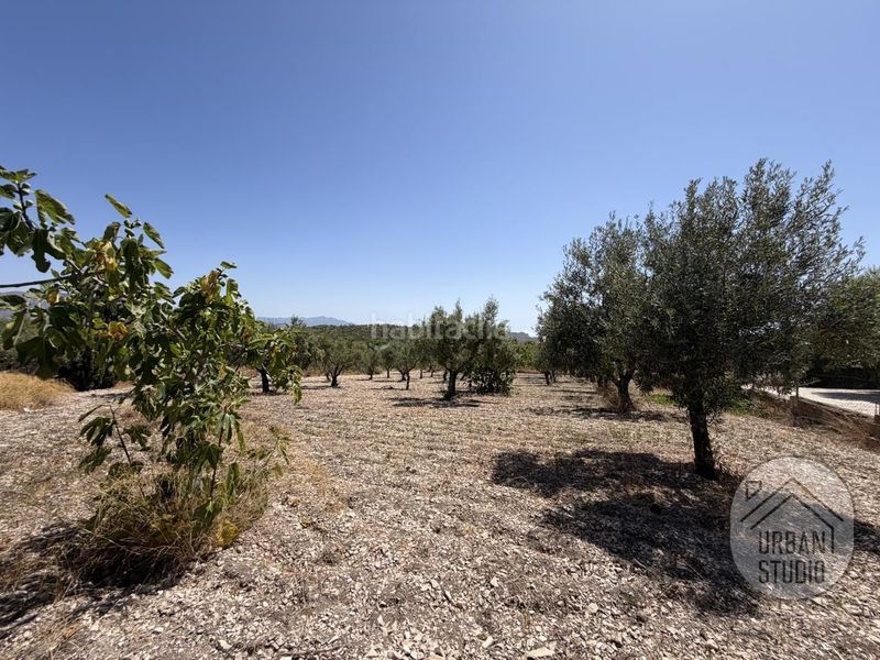 Foto e92c734f-e4f0-4d97-9bc8-aa838da80dd8. Casa amb calefacció piscina a Tibi