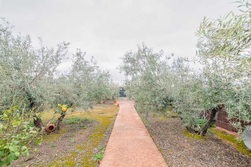 Foto 6059d5dd-1ec1-454c-8ce6-d47f95d32f30. Finca rústica a Ogíjares