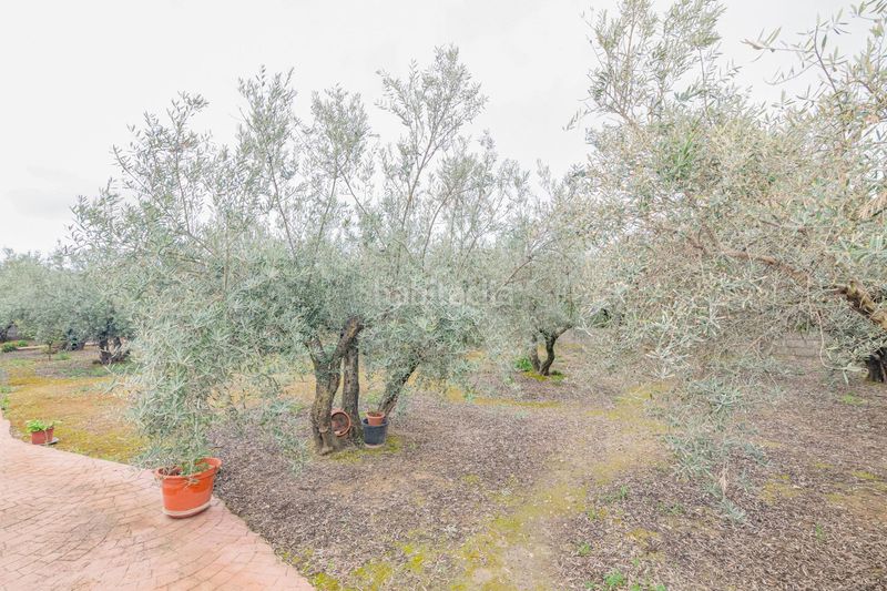 Foto 91912b99-dbae-40d0-b190-28440c3b83b3. Finca rústica a Ogíjares