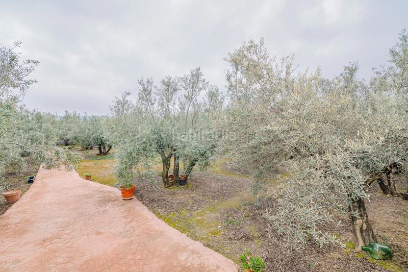 Foto f011433f-b514-4efe-91ac-841a47ac1c82. Finca rústica a Ogíjares