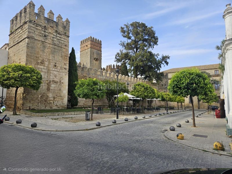 Foto dbd439cf-b9b1-48bb-8915-3f11c88bf9de. Pis a Plaza de Toros - Ayuntamiento Puerto de Santa María (El)