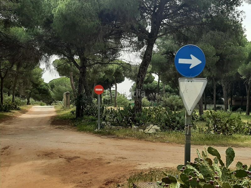 Foto 6f009a58-e139-49ce-8dba-978bf935a123. Finca rústica a El Juncal - Vallealto Puerto de Santa María (El)