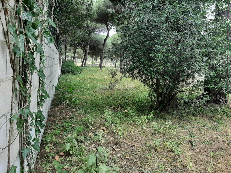 Foto 7aa1c0a0-602c-44e3-b316-9e12098c3ab0. Finca rústica a El Juncal - Vallealto Puerto de Santa María (El)