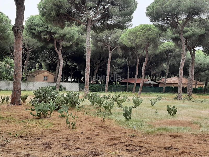 Foto bd8d0a29-57be-4197-b8ca-3c93da322189. Finca rústica a El Juncal - Vallealto Puerto de Santa María (El)