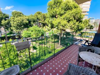 Location Appartement  Avenida santander