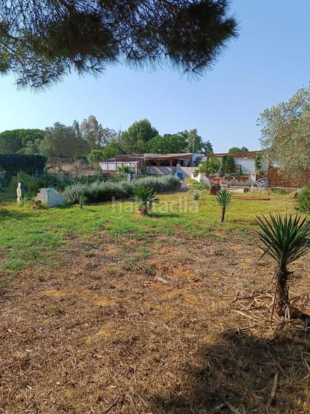 Foto e124e3c6-3954-4d7b-b01b-3e7d654f45d8. Residential plot in El Almedral Puerto Real