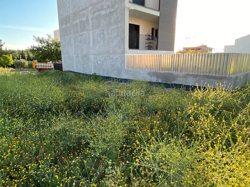 Foto 037b0002-8a3b-40cb-9f1d-0f6dbdf359e2. Terreno residencial en calle rosalía de castro 23 en Cheste