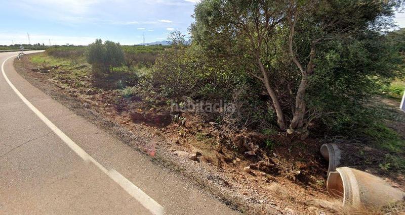 Foto ad3696c4-e688-4c77-bf72-a121494a53a7. Finca rústica fincas rústicas en paraje benadresa, castellon en Castellón de la Plana