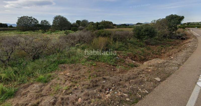 Foto fe92d56a-aca4-4cb0-a6e1-ea82fe5ab19c. Finca rústica fincas rústicas en paraje benadresa, castellon en Castellón de la Plana