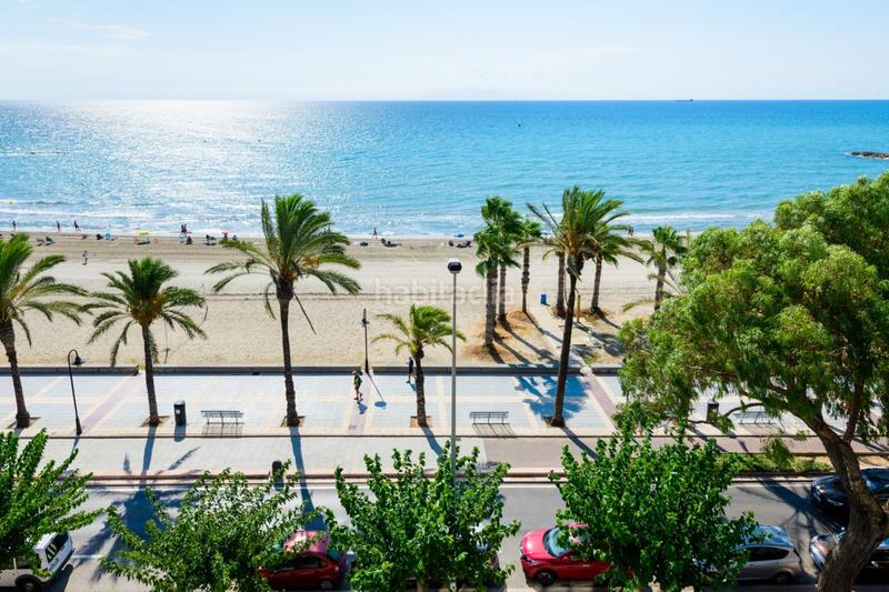 Foto eefe9c21-2f32-4a19-a325-f4afdca1da28. Ático espectacular ático frontal en primera línea, benicassim en Benicasim / Benicàssim