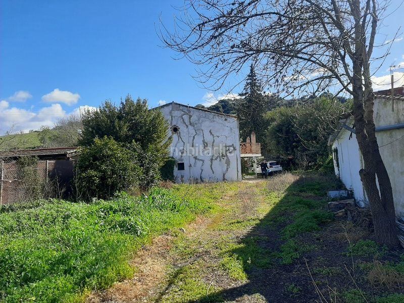 Foto 0bc0e951-4d63-4b85-950c-d18aa6e17206. Masia a Jimena de la Frontera