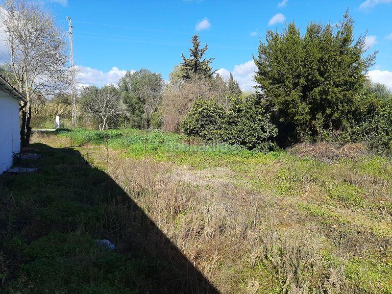 Foto f213e1d3-8396-4c08-aeed-46b00eb0b62a. Masia a Jimena de la Frontera