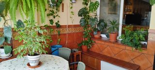 Rent Apartment in San García. Apartamento en getares
