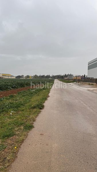Foto 126494c1-5a7d-4cca-b75e-f07812e67174. Finca rústica a polígono Lobosillo a Lobosillo Murcia