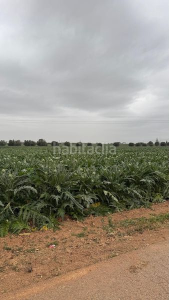 Foto f694656b-fcd6-490f-91d0-7f95860a6cd7. Finca rústica a polígono Lobosillo a Lobosillo Murcia
