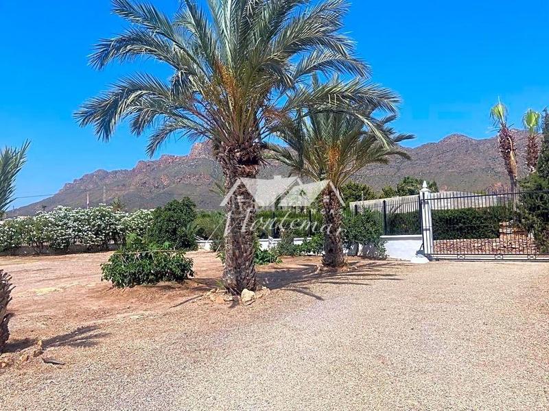 Foto 50dc8176-9a0f-43a0-b18d-16a6498be239. House in San Juan de los Terreros