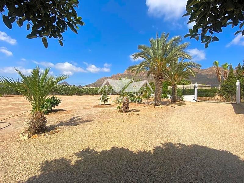 Foto 5e17b1cc-355d-4615-ac0d-8489746817fe. House in San Juan de los Terreros