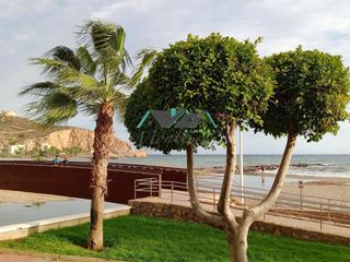 Lloguer Planta baixa  Iberia. Piso a estrenar en alquiler a partir de marzo  hasta junio