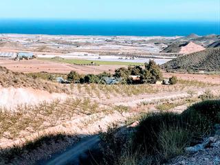 Masia  Las. Se vende espectacular finca en la marina de cope guilas