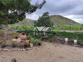 Masia  Las. Se vende espectacular finca en la marina de cope águilas