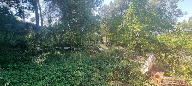 Foto 48055dbc-3f09-4550-8884-ccdd700d30e2. Terreny residencial a roser 43 a Rellinars