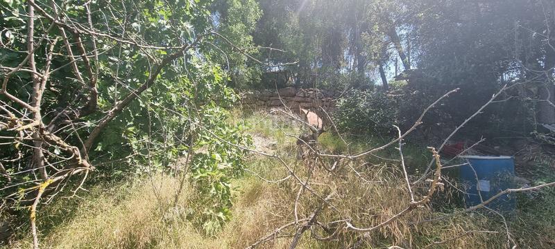 Foto 52e11d58-40a8-4df5-a59f-63cd19779192. Terreny residencial a roser 43 a Rellinars