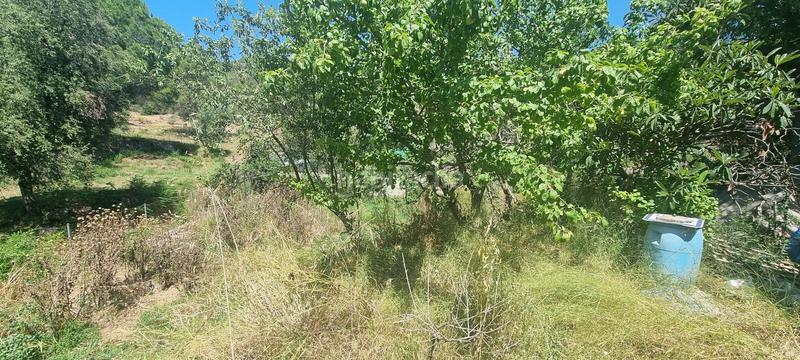 Foto b9e36533-39f4-4ce5-9846-224ad854e4c9. Terreny residencial a roser 43 a Rellinars