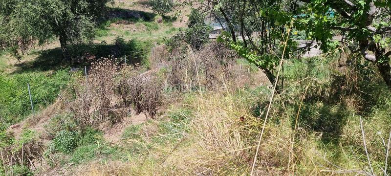 Foto bdfba5f9-6629-4fa7-8536-6d2b2e814588. Terreny residencial a roser 43 a Rellinars