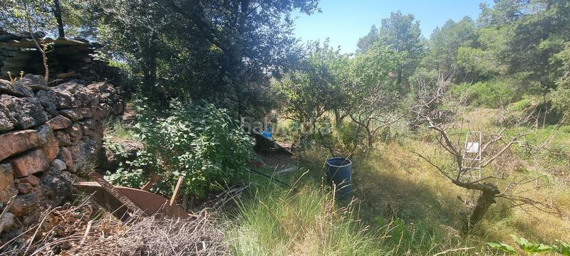 Foto d8634582-4922-476b-a5c5-a75422284295. Terreny residencial a roser 43 a Rellinars