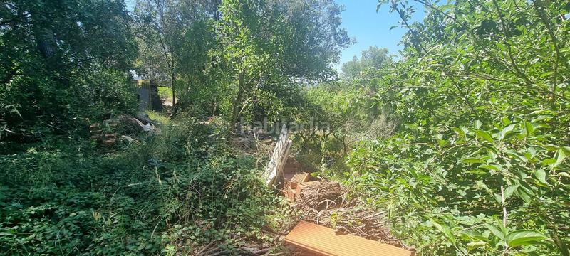 Foto e59366c0-4e19-41cc-84bb-d8bbc2092a86. Terreny residencial a roser 43 a Rellinars