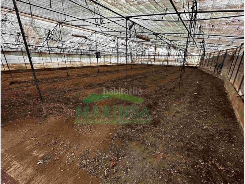 Foto 42cdd70c-4239-4068-aff1-cab2ddeecca2. Finca rústica en diseminado Almayate Bajo 281 terreno en venta en almayate29749 en Almayate Bajo