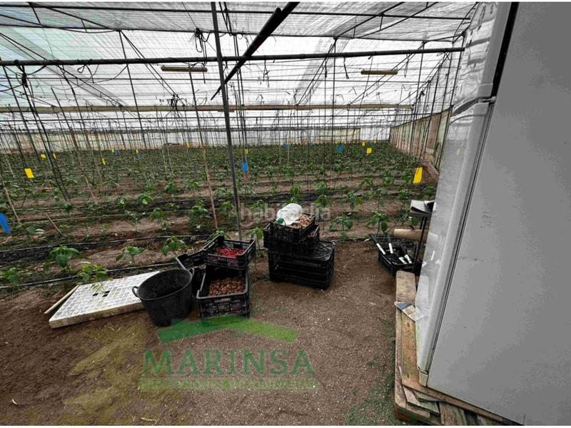 Foto 874cddc0-6df7-4b8a-ab78-3b857fc2d4bc. Finca rústica en diseminado Almayate Bajo 281 terreno en venta en almayate29749 en Almayate Bajo