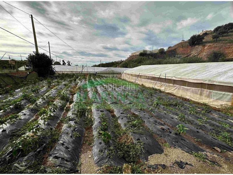 Foto a9de6657-dd4b-4cd2-a466-dfdbe4070cac. Finca rústica en diseminado Almayate Bajo 281 terreno en venta en almayate29749 en Almayate Bajo