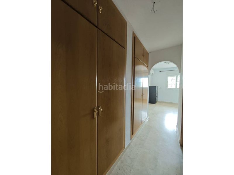 Foto bab6cc11-127f-4eb6-9912-6b191b1a79d9. Pis a Caleta de Velez