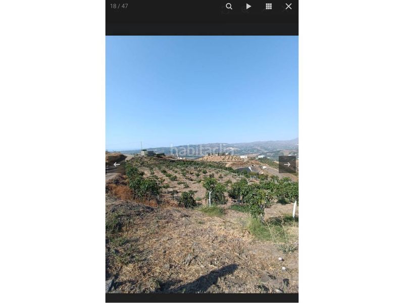 Foto 15b6b0e5-ea6c-4518-bee9-7e93e267743f. Finca rústica a Norte - Barrio del Pilar - El Reñidero Vélez - Málaga