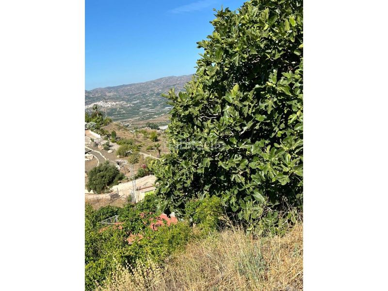 Foto 2636ab54-8a71-4368-a63d-20fa893e3d54. Finca rústica a Norte - Barrio del Pilar - El Reñidero Vélez - Málaga