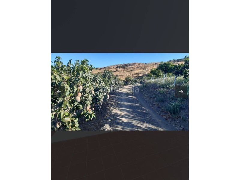 Foto 2a8fd0e7-209d-44a9-9d06-e2e5c101c22c. Finca rústica a Norte - Barrio del Pilar - El Reñidero Vélez - Málaga