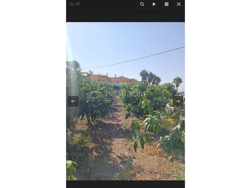 Foto 573373b2-ea04-4e0d-85ec-a5b2d2975bd9. Finca rústica a Norte - Barrio del Pilar - El Reñidero Vélez - Málaga